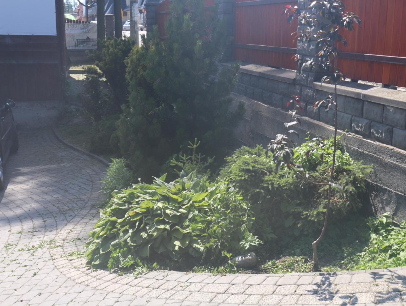 Smyrecek-Centrum Bukowiny Буковина-Татшаньска Экстерьер фото