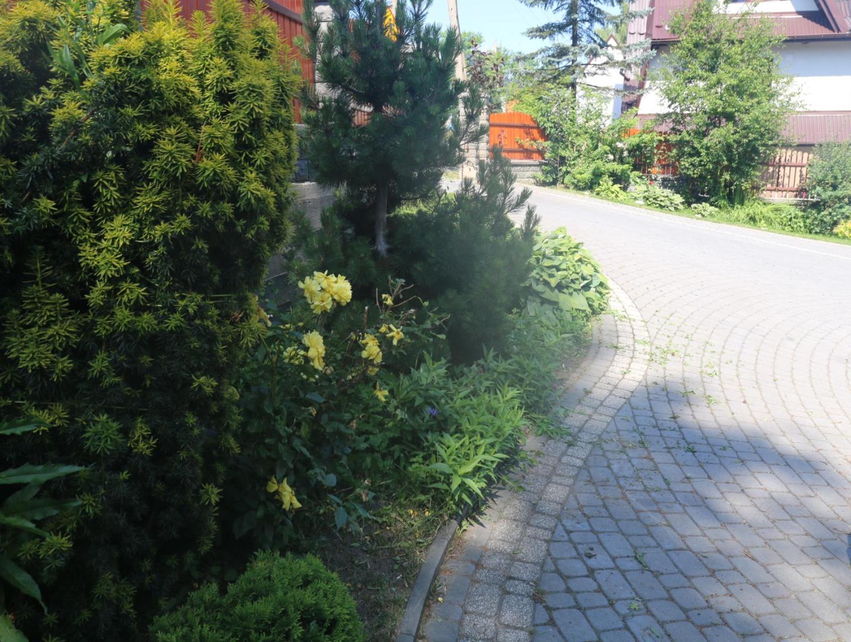 Smyrecek-Centrum Bukowiny Буковина-Татшаньска Экстерьер фото
